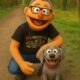 Avatar photo